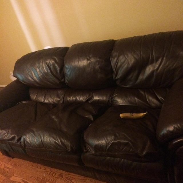 20 Collection of Craigslist Leather Sofa