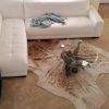 Crate and Barrel Sofa Tables (Photo 5 of 20)