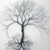 Wire Wall Art Decors (Photo 1 of 20)