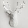 Stag Head Wall Art (Photo 4 of 20)