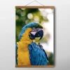Bird Macaw Wall Sculpture (Photo 8 of 15)