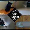 Cat Tunnel Couches (Photo 6 of 20)
