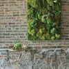 Moss Wall Art (Photo 17 of 25)