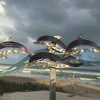 Dolphin Metal Wall Art (Photo 18 of 20)