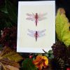 Dragonfly Painting Wall Art (Photo 17 of 25)