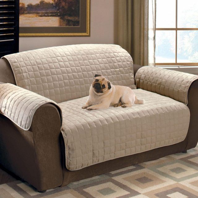 20 The Best Dog Sofas and Chairs