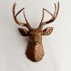 Stags Head Wall Art (Photo 5 of 20)