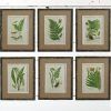 Framed Botanical Art Prints (Photo 10 of 15)