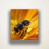 Insect Wall Art (Photo 8 of 20)