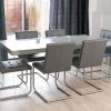 Grey Dining Tables (Photo 11 of 25)