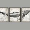 Humpback Whale Wall Art (Photo 7 of 15)