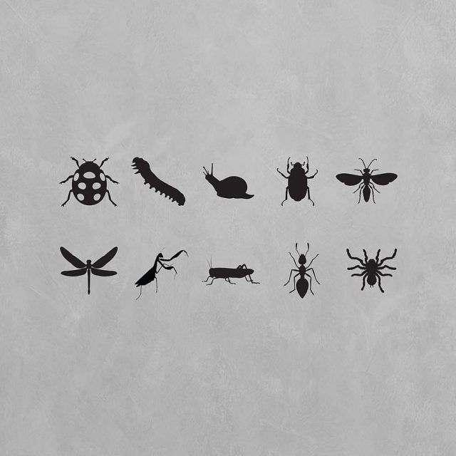 20 The Best Insect Wall Art
