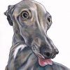 Italian Greyhound Wall Art (Photo 2 of 20)
