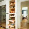 Pantry Cabinets to Utilize Your Kitchen (Photo 9 of 17)