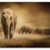 Elephant Canvas Wall Art (Photo 6 of 20)