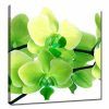 Lime Green Canvas Wall Art (Photo 4 of 15)