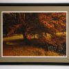 Framed and Matted Art Prints (Photo 8 of 15)