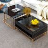 Modern Nesting Coffee Tables (Photo 14 of 15)