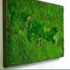 Moss Wall Art (Photo 6 of 25)
