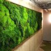 Moss Wall Art (Photo 14 of 25)