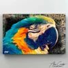 Parrot Tropical Wall Art (Photo 9 of 15)