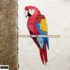Bird Macaw Wall Sculpture (Photo 13 of 15)