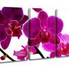 Orchid Canvas Wall Art (Photo 11 of 15)