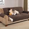 Sofas for Dogs (Photo 2 of 20)