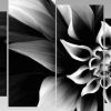 Black and White Abstract Wall Art (Photo 18 of 20)