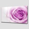 Rose Canvas Wall Art (Photo 8 of 20)