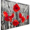 Red Poppy Canvas Wall Art (Photo 1 of 20)
