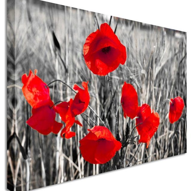 Top 20 of Red Poppy Canvas Wall Art
