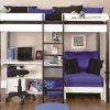 High Sleeper With Desk and Sofa Bed (Photo 12 of 20)