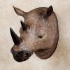Resin Animal Heads Wall Art (Photo 15 of 20)