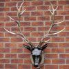 Stag Wall Art (Photo 6 of 20)