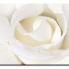 Roses Canvas Wall Art (Photo 7 of 15)