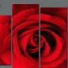 Roses Canvas Wall Art (Photo 15 of 15)