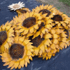 Sunflower Wall Art (Photo 9 of 25)