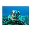 Sea Turtle Canvas Wall Art (Photo 13 of 25)