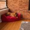 Snoozer Luxury Dog Sofas (Photo 7 of 20)