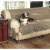 Sofas for Dogs (Photo 12 of 20)
