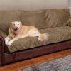 Sofas for Dogs (Photo 11 of 20)