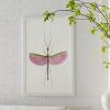 Insect Wall Art (Photo 5 of 20)