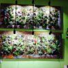Succulent Wall Art (Photo 10 of 25)