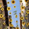 Hanging Sunflower (Photo 3 of 15)