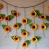 Hanging Sunflower (Photo 7 of 15)