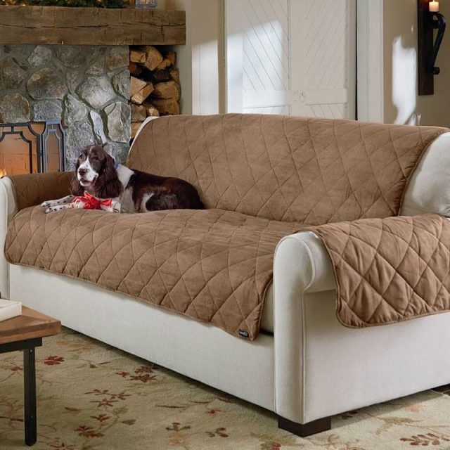 The Best Pet Proof Sofa Covers