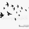 Silhouette Bird Wall Art (Photo 13 of 15)