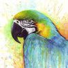 Parrot Tropical Wall Art (Photo 15 of 15)