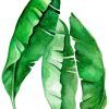 Tropical Leaves Wall Art (Photo 11 of 15)